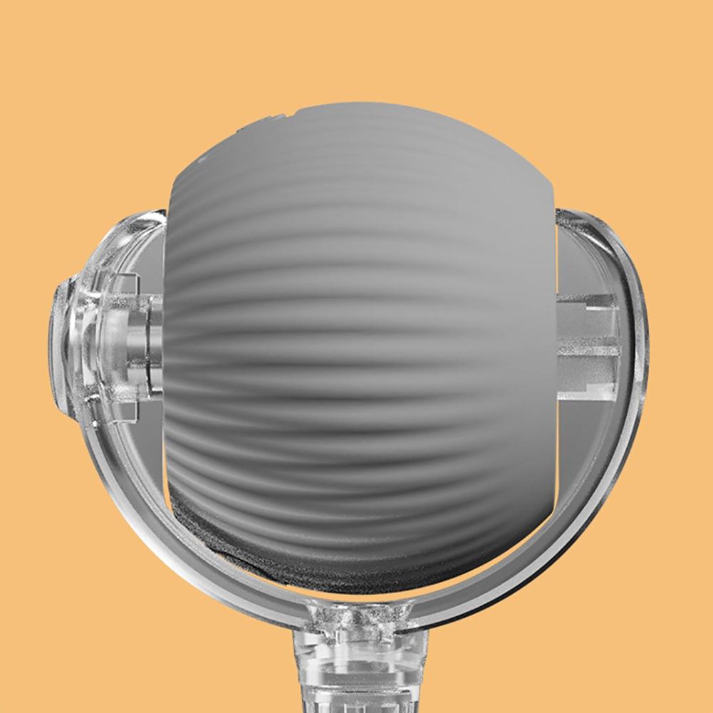 Interactive Pet Ball Toy