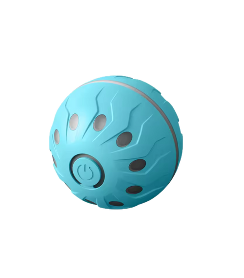 PAWFLAG JUMPING BALL