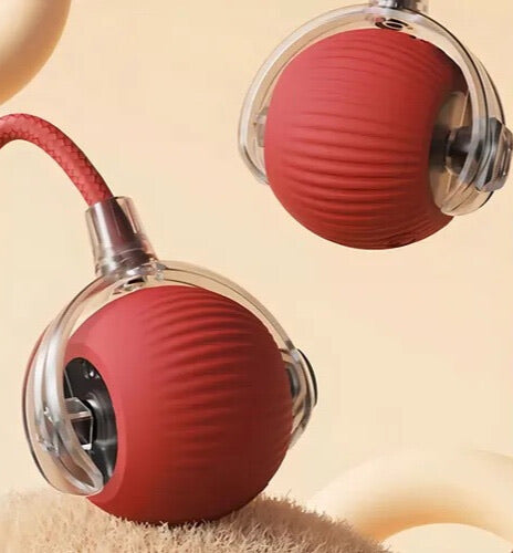 Interactive Pet Ball Toy